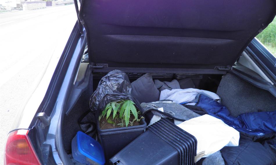 2011-5-27-1344marihuana_110526 (4).JPG